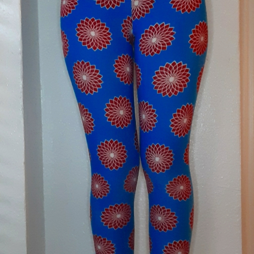 Maroon and blue leggings